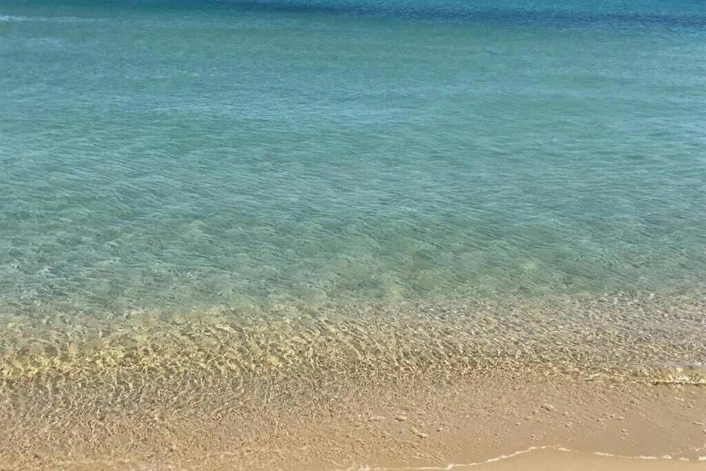 2 Bedrooms, 15 Min Walk To Beach, Ac, Pool & Fiber Internet In A Quiet, Private Gated Domain 5Kms To St Tropez Коголен Екстериор снимка