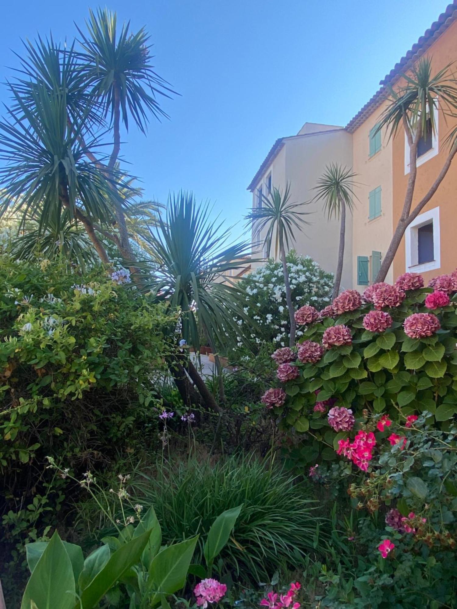 2 Bedrooms, 15 Min Walk To Beach, Ac, Pool & Fiber Internet In A Quiet, Private Gated Domain 5Kms To St Tropez Коголен Екстериор снимка